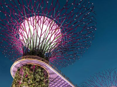 Gardens by the Bay with Supertrees