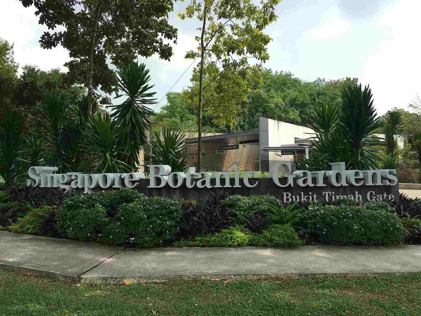 Singapore Botanic Gardens with Orchids